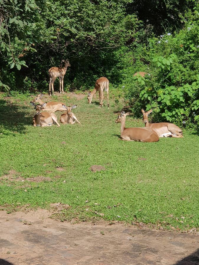 Kruger Park Lodge Unit No. 277 Hazyview Luaran gambar